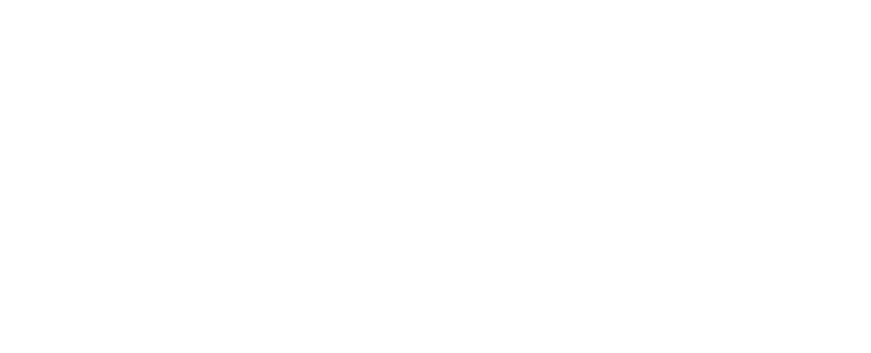 KARE Wide Logo - White